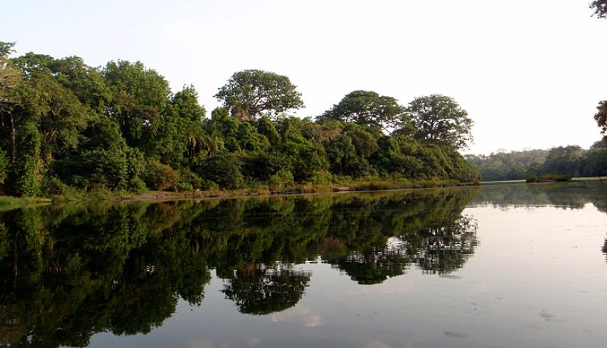 Outamba Kilimi National Park