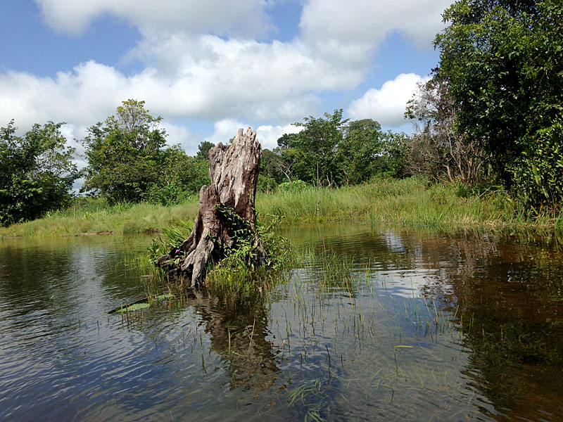 Rogbonko Village Retreat