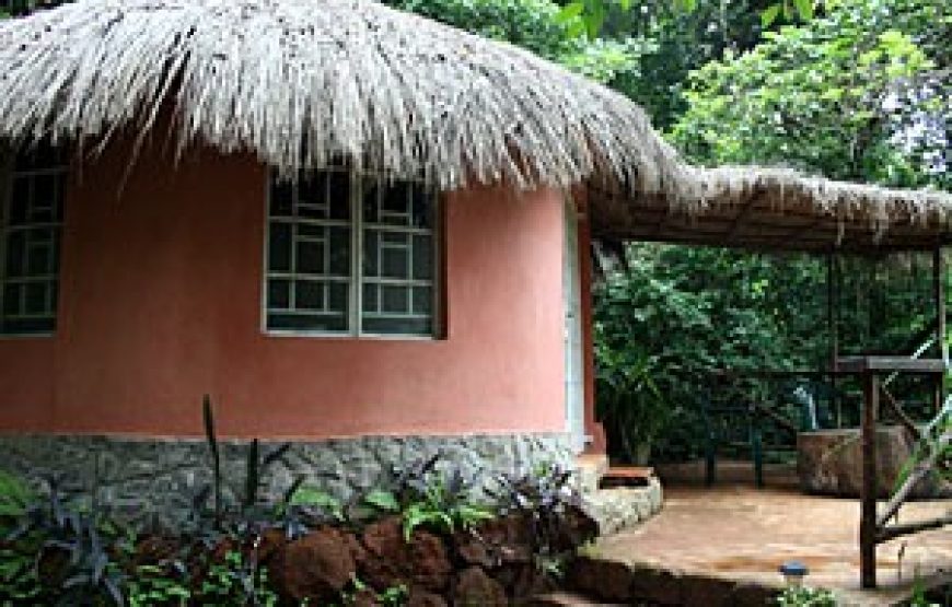 Tacugama Chimpanzee Sanctuary