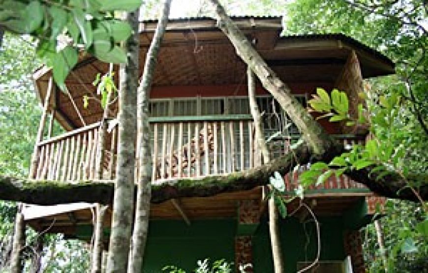 Tacugama Chimpanzee Sanctuary