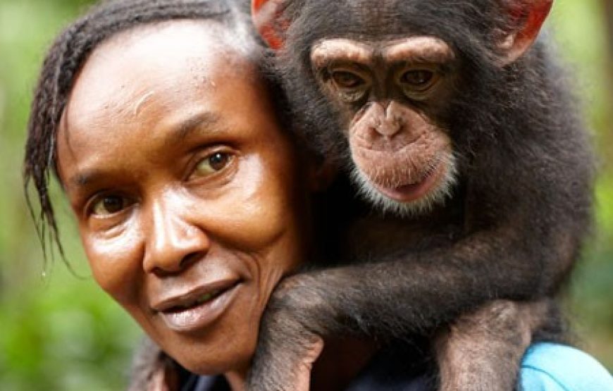 Tacugama Chimpanzee Sanctuary